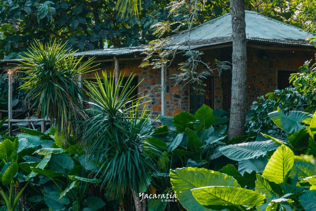 Yacaratia Lodge เอลโซแบร์บิโอ ภายนอก รูปภาพ
